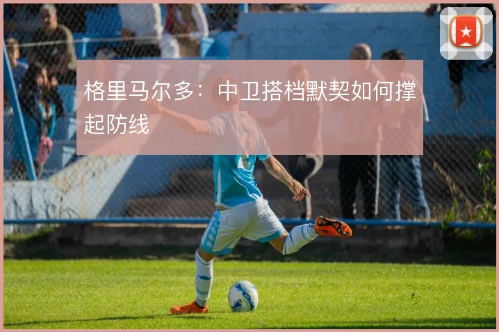 格里马尔多:中卫搭档默契如何撑起防线